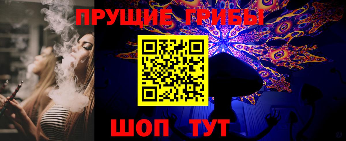 Псилоцибиновые грибы Psilocybe Валуйки